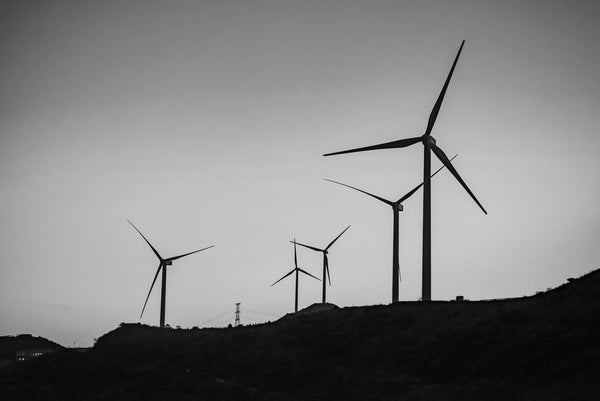 B&W wind turbines - Greenfrog Botanic begins working with Greenr to reduce carbon footprint 